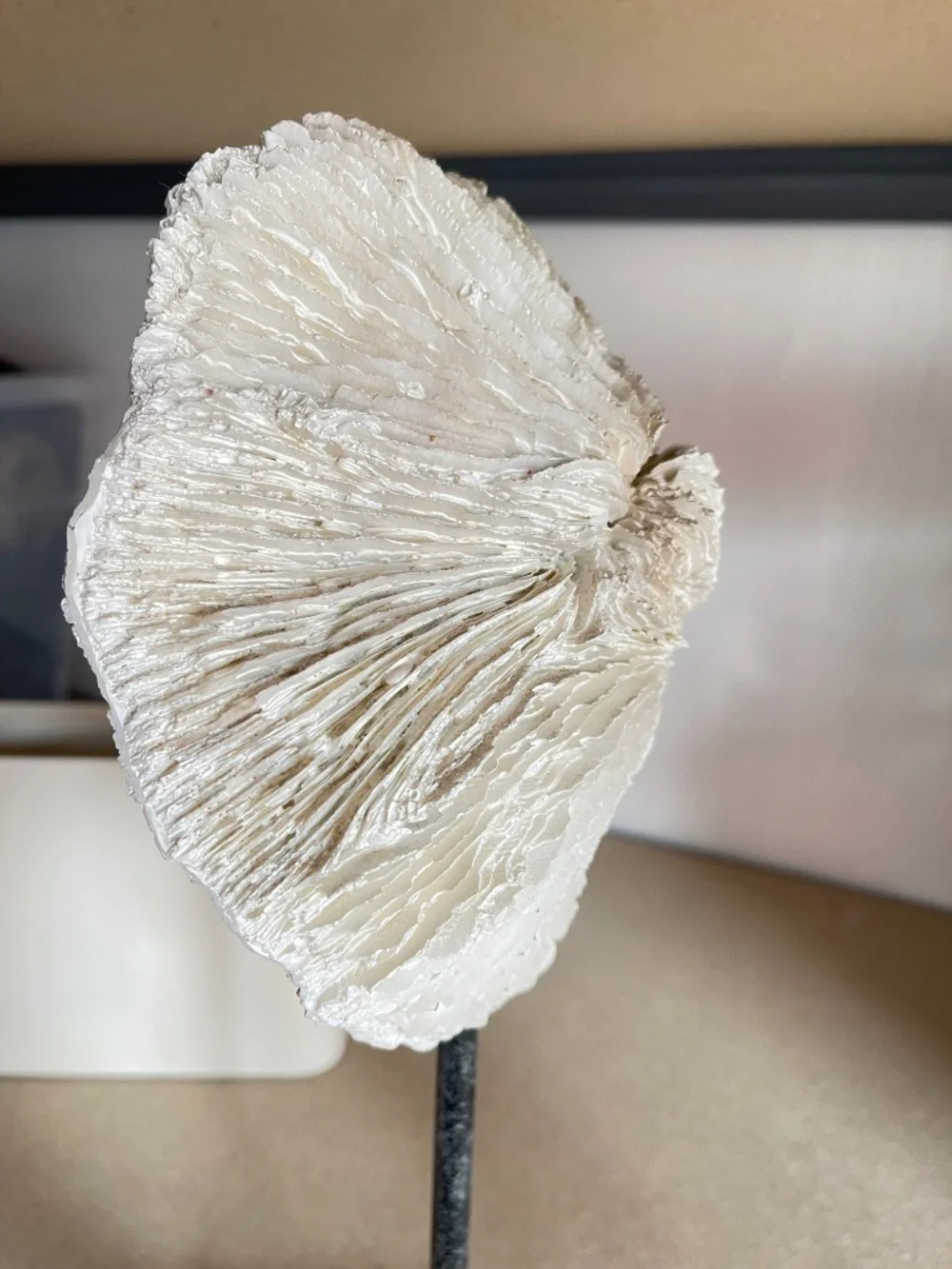 Restoration Hardware Ivory Coral Sculpture on Lucite Stand